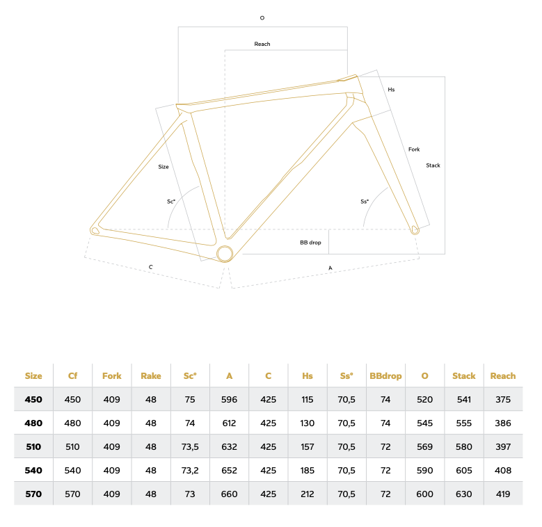 geometrie