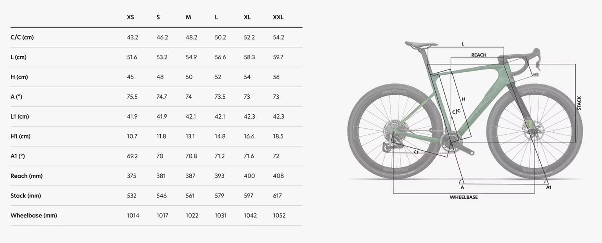 GEOMETRY WILIER RAVE SLR ID2